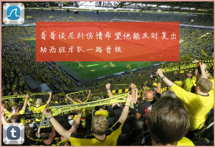 哥哥谈尼科伤情希望他能及时复出助西班牙队一路晋级